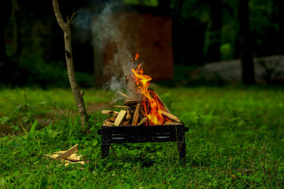 Bonfire on wooden log in field