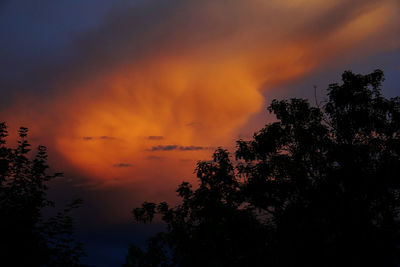 Low angle view of silhouette trees against orange sky