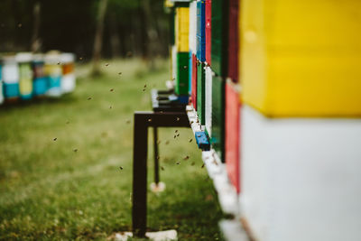 Close-up of multi colored hanging on metal structure