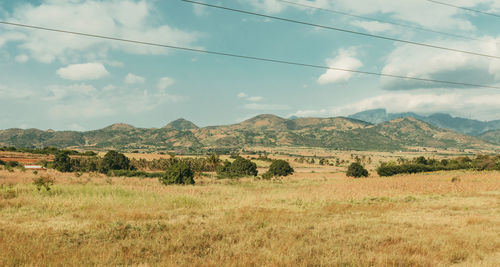 Scenic view of field against sky