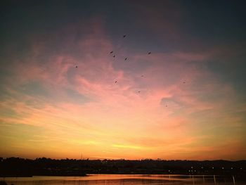 Silhouette birds flying against sky during sunset