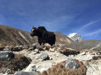 Scenic view of mountain against sky