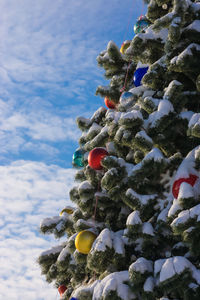 Low angle view of christmas tree against sky