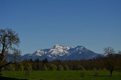 Scenic view of green landscape and mountains against clear blue sky