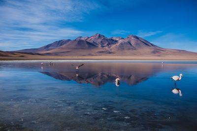 Scenic view of lake and mountains against sky