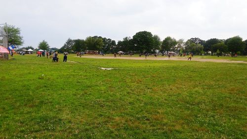 People on grassy field