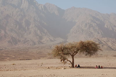 People sitting by bare trees against mountain