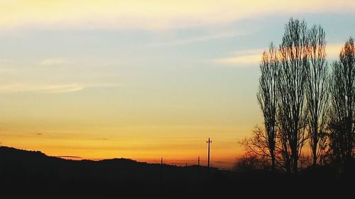 Silhouette of trees at sunset