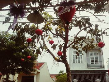 Low angle view of decoration hanging on tree in city