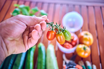 Cropped image of person holding fruits