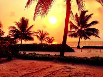 Palm trees on beach at sunset