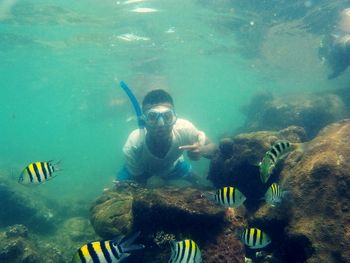 Scuba diver with fish swimming in sea