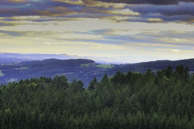 Scenic view of trees and mountains against sky