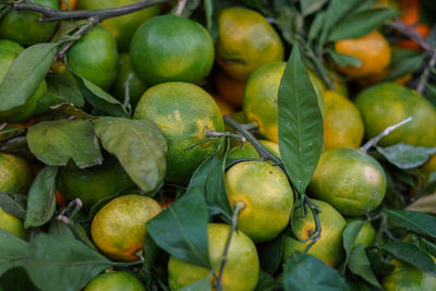 Full frame shot of fruits in market