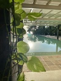 Swimming pool by lake