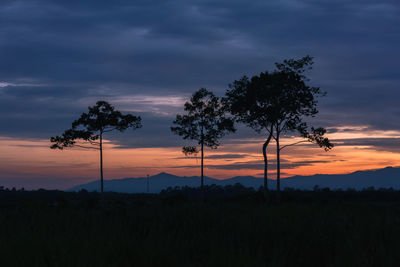 Silhouette trees on landscape against sky at sunset