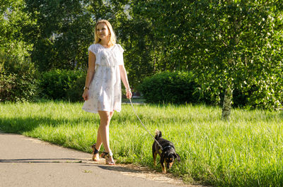 Full length portrait of a dog