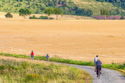 Rear view of men walking on field