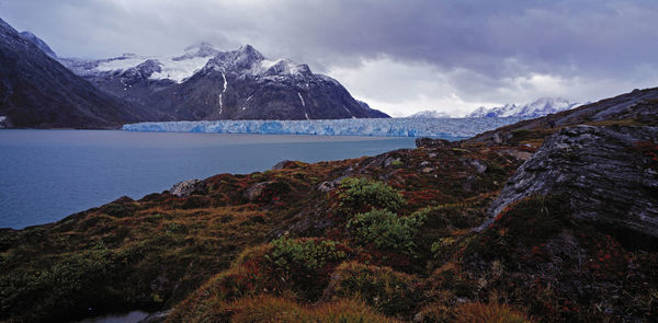 Knut rasmussen glacier in east greenland