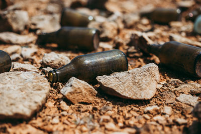 Close-up of pebbles on rock