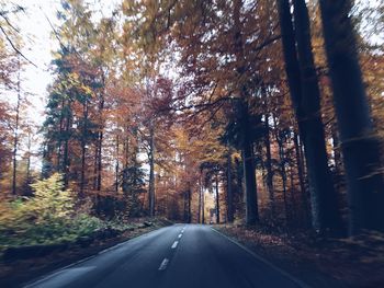 Road amidst trees during autumn