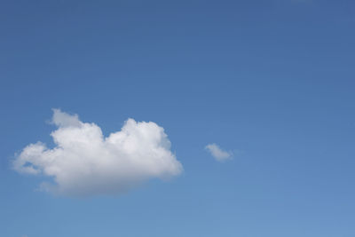 Low angle view of trees against blue sky