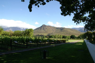 Scenic view of landscape and mountains against sky