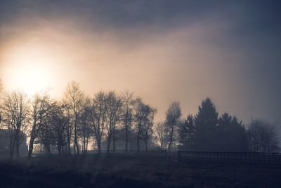 Trees on landscape against sky