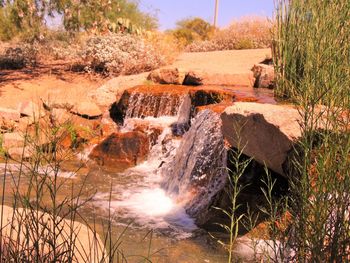 Stream flowing through rocks