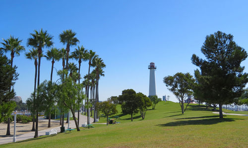 Trees and lighthouse against clear blue sky