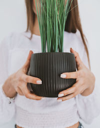 Female hands hold a pot with a green plant. selective focus