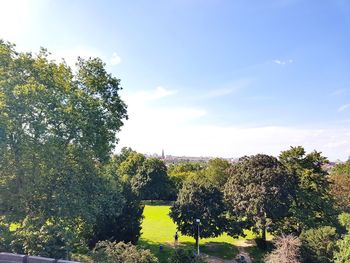 Trees in park against sky