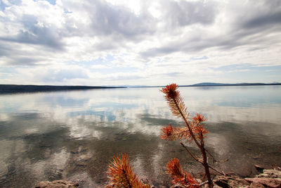 Scenic view of lake against sky