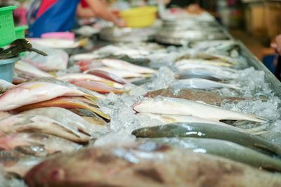 Selective focus on raw fresh fish on the tray for selling in the market