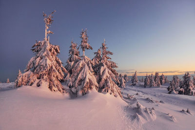 Snow covers lot