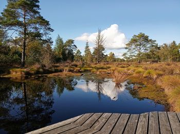 Reflection of trees in lake against sky