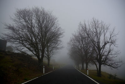 Road amidst bare trees against sky