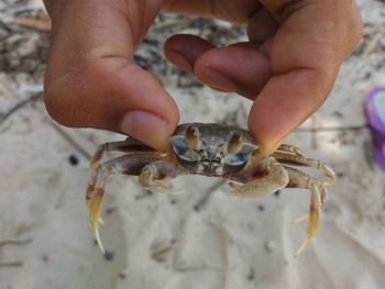 Midsection of person holding stick on beach