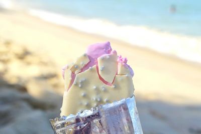 Close-up of pink rose on beach