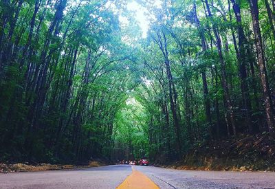 Road amidst trees in forest