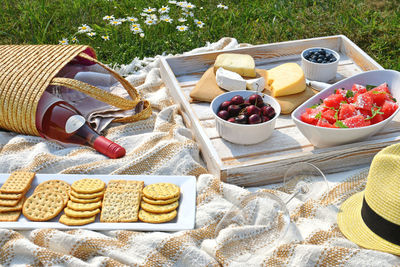 Picnic food cheese fruit  wine on blanket outside flower field recolte  aka harvest 2020