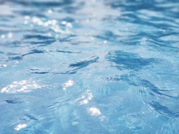 High angle view of swimming pool