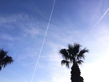 Low angle view of palm tree against sky