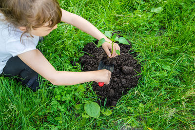 High angle view of girl picking plants on field