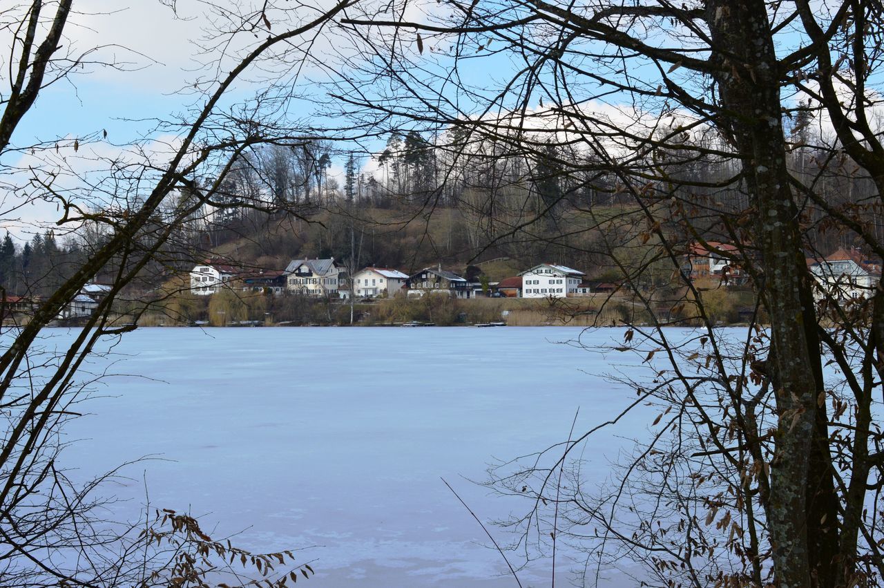 FROZEN LAKE AGAINST BARE TREES DURING WINTER