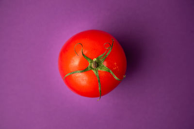 Close-up of apple against red background