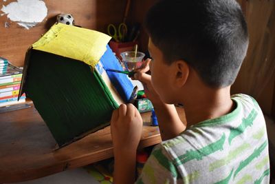 Portrait of boy painting cardboard house