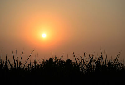 Scenic view of silhouette field against sky during sunset