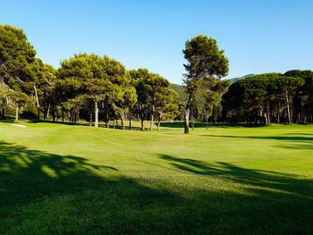 View of golf course against trees