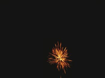 Low angle view of firework display at night